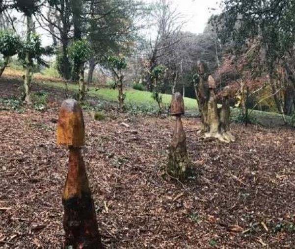Árvores 'fálicas' em parque galês: removidas - Foto: Reprodução