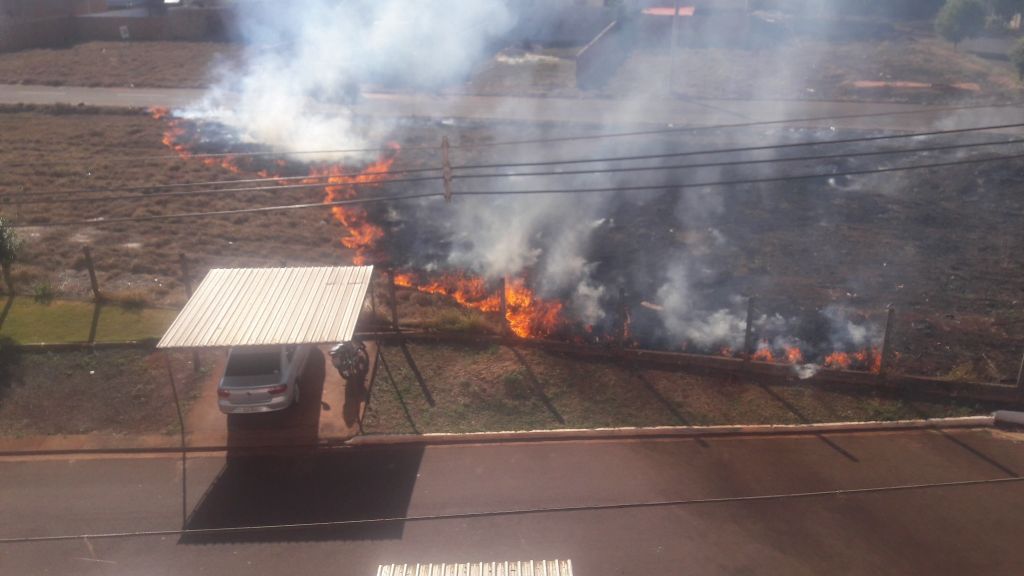 Fogo se espalhou rapidamente no terreno baldio (Foto: Amarenilda Julio)