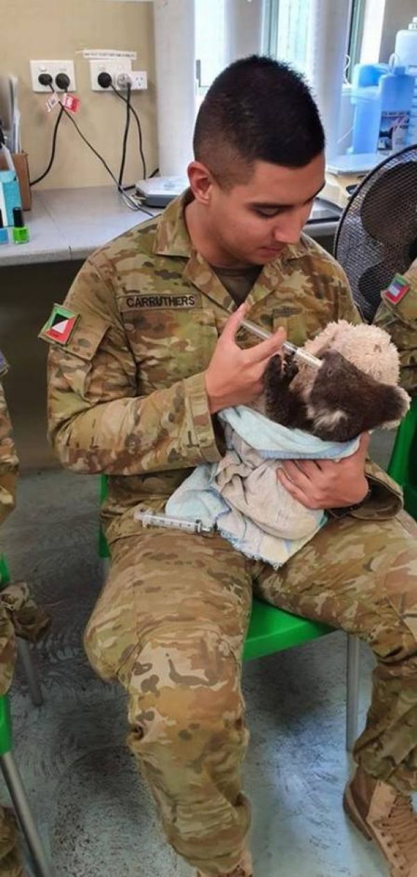 Militar amamenta coala Foto: Reprodução/Facebook(9th Brigade - Australian Army)