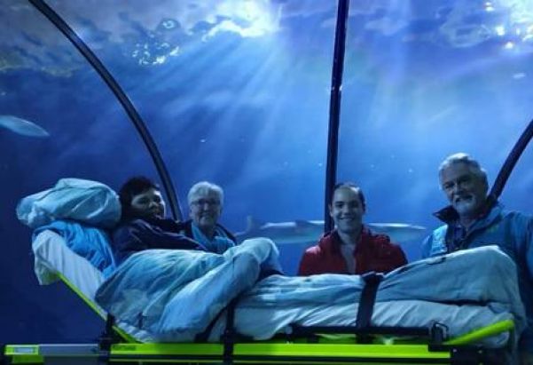 Último desejo realizado: visitar um aquário - Foto: Divulgação/ambulancewens
