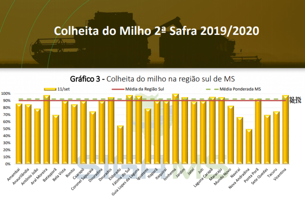 Foto: Gráfico/Governo de MS