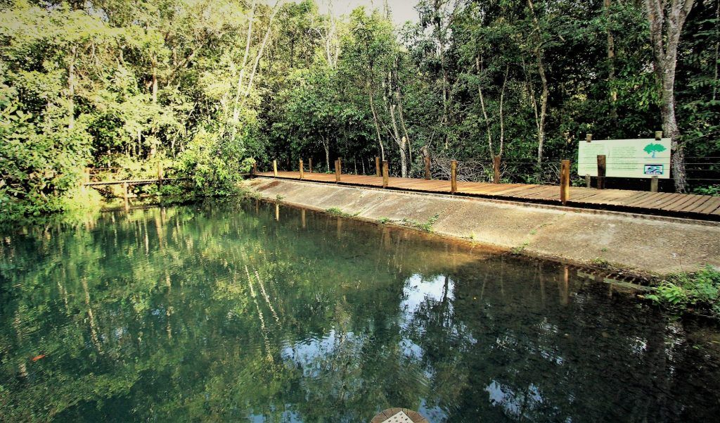 Parque Estadual do Prosa recebeu uma média de 2,5 mil visitantes em 2018. Este ano foram 768 visitantes até julho.