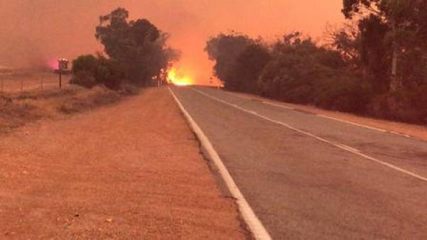 Incêndio florestal ao Norte de Perth, na Austrália - Foto: Polícia Dalwallinu