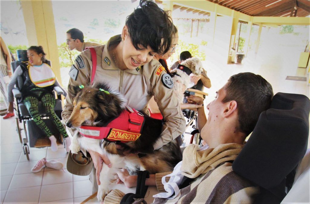 Cão Herói Cão Amigo Cotolengo estimulam, cuidam e alegram pacientes 