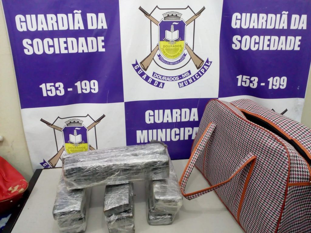   Droga apreendida pela Guarda Municipal - foto: divulgaçãoodoviária