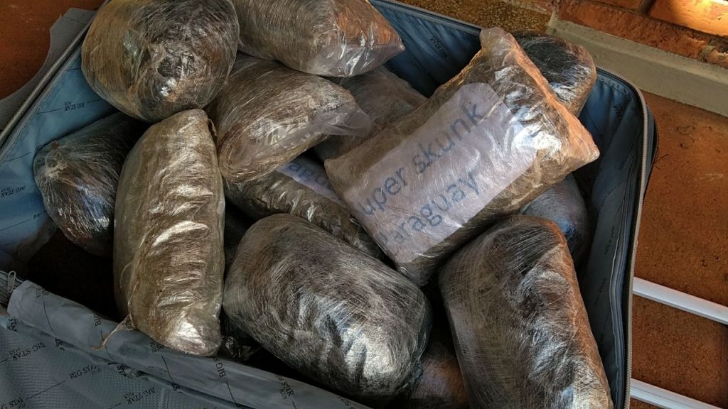 Maconha encontrada na mala que jovens transportavam pesou mais de 10 quilos, segundo a polícia (Foto: Sidnei Bronka)