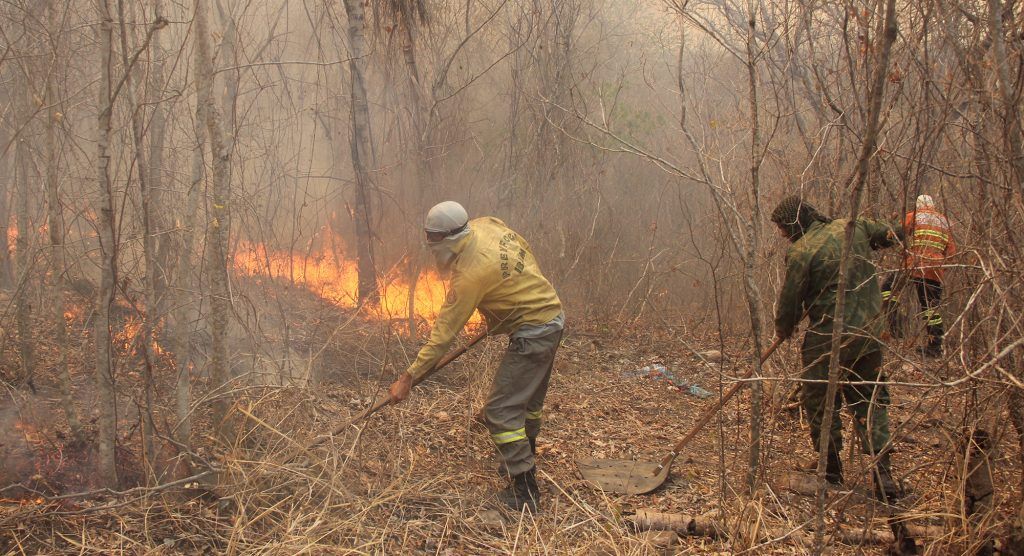 Brigadistas já iniciaram o trabalho na região do foco de queimada no Pantanal - Foto: Silvio de Andrade
