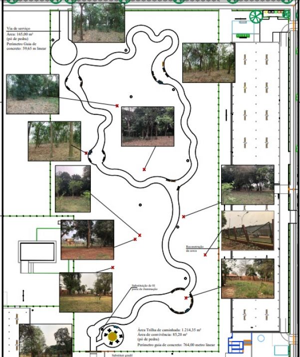 Edital de licitação detalha projeto da trilha no bosque (Foto: Reprodução)