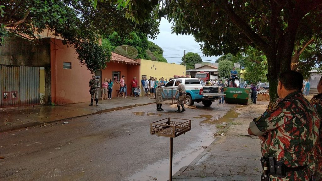 Onça foi encontrada na Rua Santos Dumont, na Vila Rosa, em Dourados (Foto: Adilson Domingos)