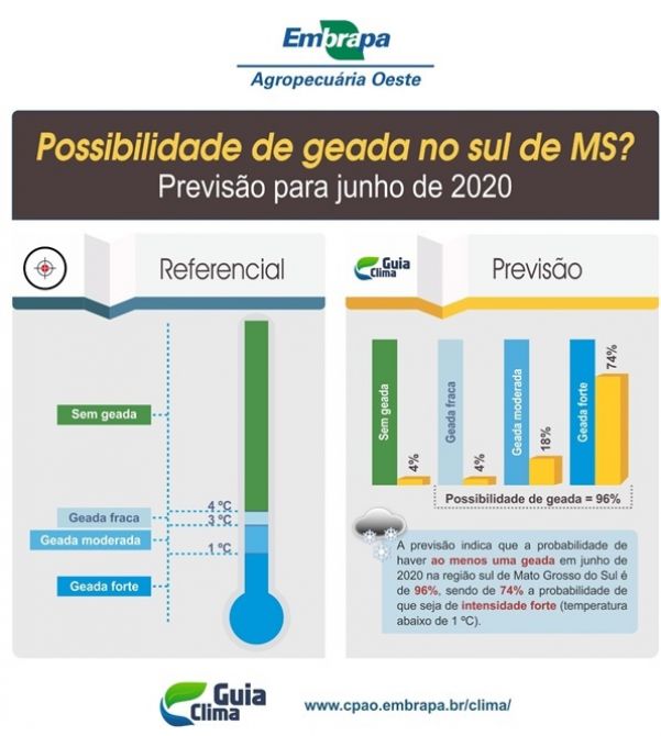 Sistema desenvolvido pela Embrapa aponta previsão de geada com antecedência de meses (Foto: Reprodução)