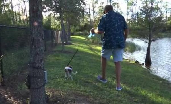 Richard passeia com Gunner à beira de lago - Foto: Reprodução/WINK