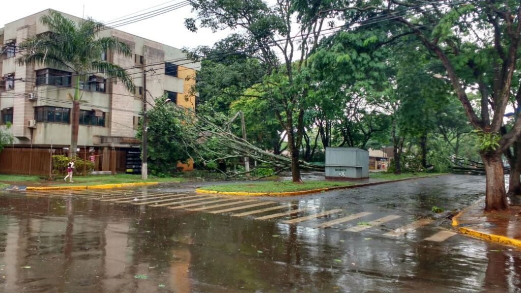 (Foto: divulgação/WhatsApp) 