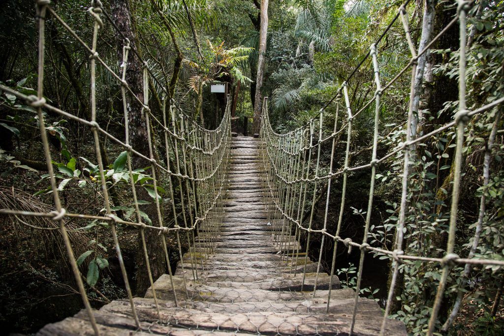 Bonito é um dos principais destinos de ecoturismo do País (Foto: @visitmsoficial)