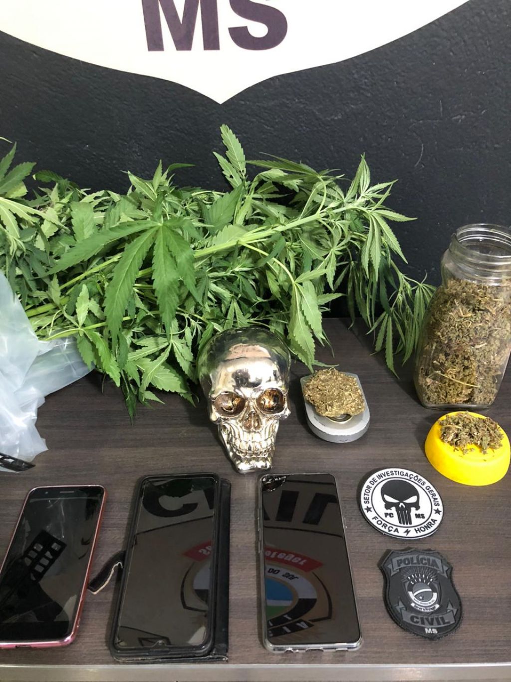 Foto: Assessoria/Polícia Civil