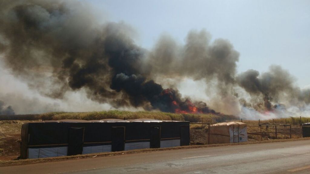 Canavial em chamas exige ação do Corpo de Bombeiros em Dourados (Foto: Sidnei Bronka/94FM)
