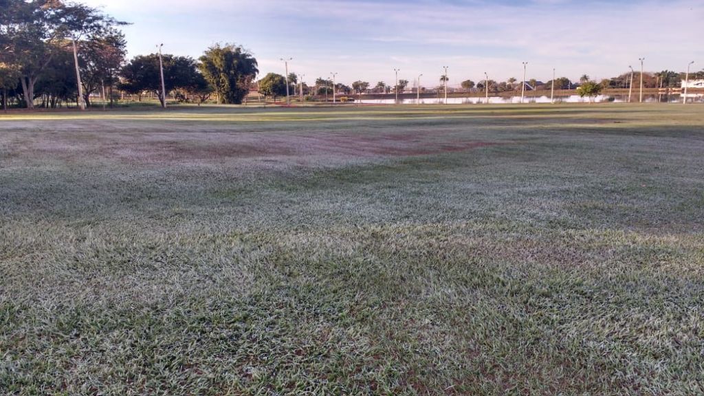 Gramado do Parque do Lago, no Jardim Flórida, com uma fina camada de gelo (Foto: divulgação/94FM)