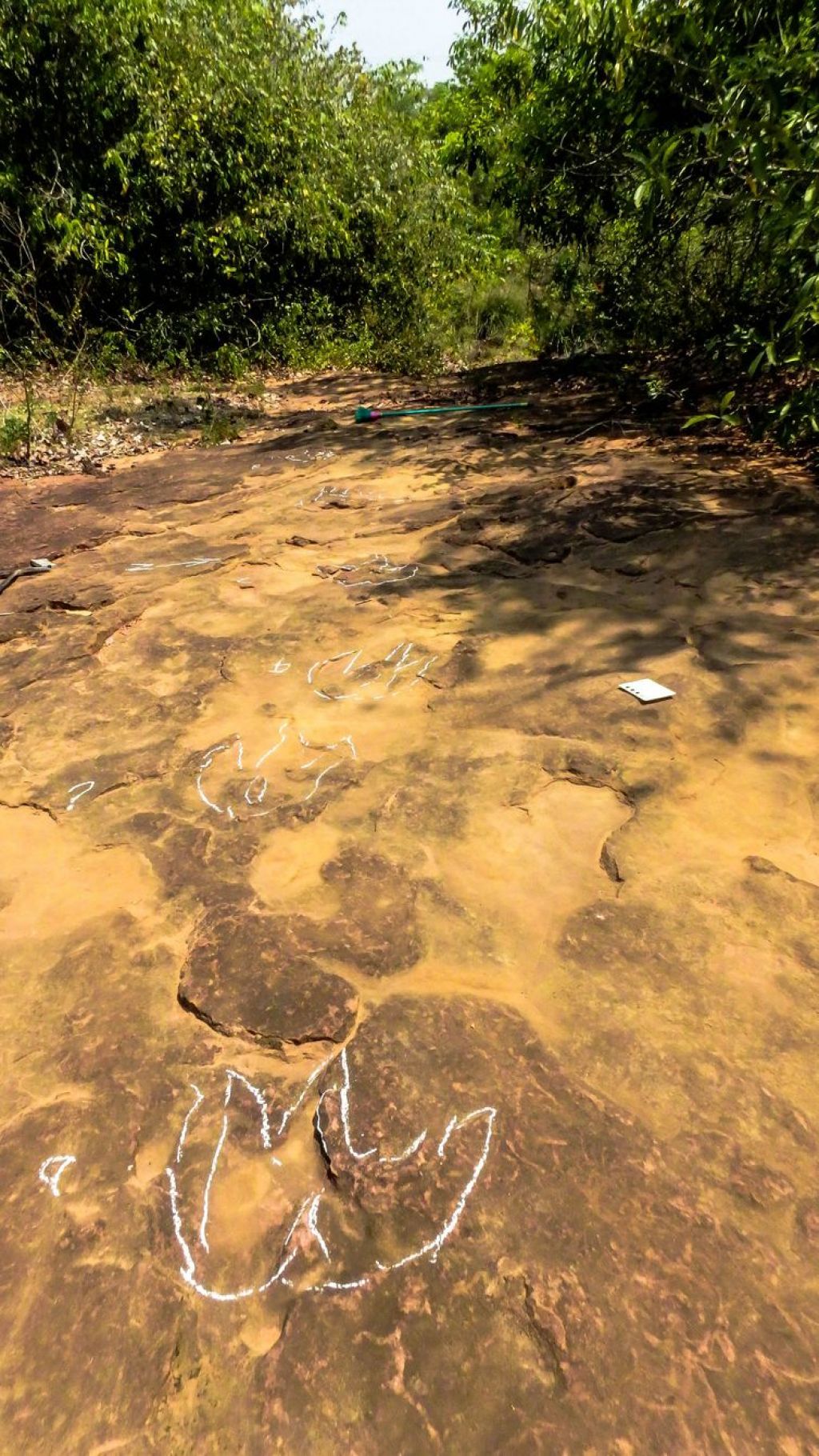 Trilha de um grande dinossauro carnívoro (Foto: Rafael Costa da Silva)