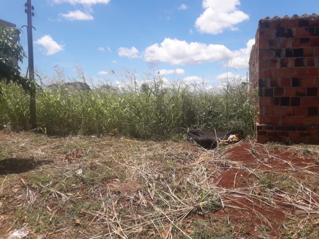 Mato alto facilita a ação dos bandidos - foto: divulgação/94FM 