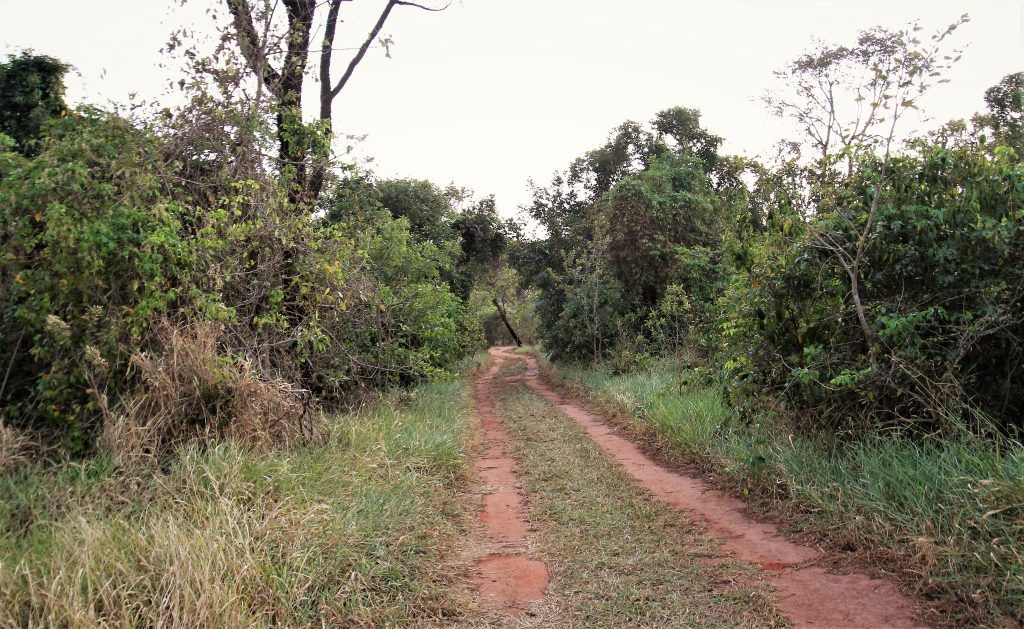 Parque Estadual das Matas do Segredo registrou 1,2 mil visitas no ano passado. Este ano foram 500 até julho.