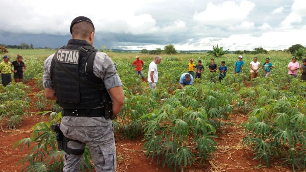 Corpo da vítima foi encontrado em mandiocal perto da casa em que morava (Foto: Adilson Domingos)