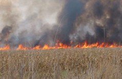Trator explode em incêndio e produtor tem 80% do corpo queimado (Foto: Maracaju Hoje)