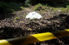 Homem foi encontrado morto no quintal da oficina (Foto: PC de Souza/Edição MS)