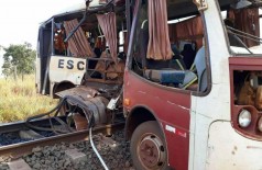 Ônibus escolar tem pane mecânica sobre trilhos e é atingido em cheio por trem (Foto: divulgação)