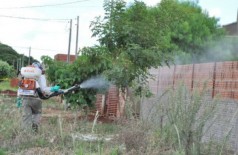 Febre Chikungunya e Zika Vírus estão estáveis em Dourados, sem novos casos (Foto: A. Frota)