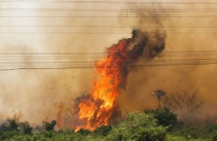 A área está sendo consumida pelas chamas desde o dia 26 e soma 122 mil hectares de destruição - Foto: Chico Ribeiro