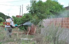 Dourados já confirmou 920 casos de dengue em 2020 (Foto: A. Frota)