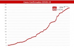 Gráfico mostra aumento de casos confirmados em MS - Foto: reprodução
