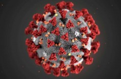 Japão quer aprovar antiviral para o tratamento de coronavírus