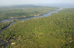 Avaliação do Inpe mostra que essa é  a segunda menor taxa de desmatamento na Amazônia Legal desde que o instit... (EFE)