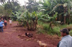 Homem é encontrado morto com 10 facadas na aldeia Bororó (Foto: Adilson Domingos) ()
