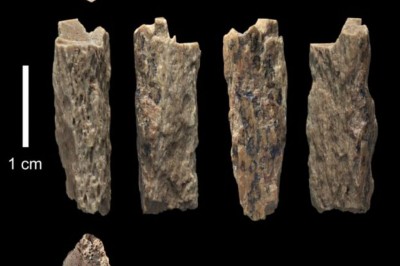 Ossos são de menina filha de mãe neandertal e pai denisovan (Foto: T. Higham/Universidade de Oxford)