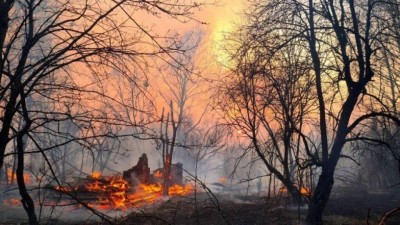 Incêndio florestal na zona de exclusão de Chernobyl, na Ucrânia - Foto: Yaroslav Yemelianenko / REUTERS