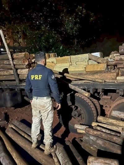 Os fardos da droga estavam escondidos em meio a uma carga de eucalipto (Foto: Divulgação/PRF)