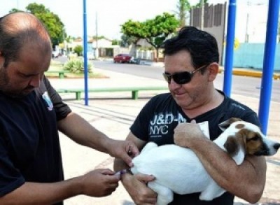 Corumbá registra 29 casos de raiva em cães; 23 mil animais já foram imunizados