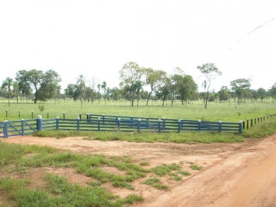 Parte ideal de fazenda com 30 hectares em Terenos tem lance mínimo de R$ 270 mil (Foto: Divulgação) ()