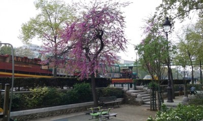 A Primavera se instala com suas cores e boas temperaturas