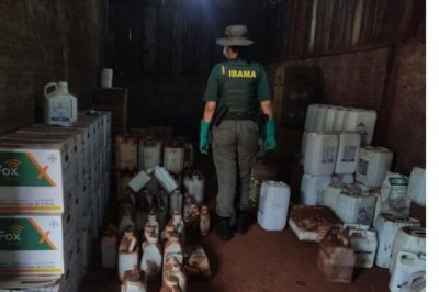 Foto: Divulgação/Ibama