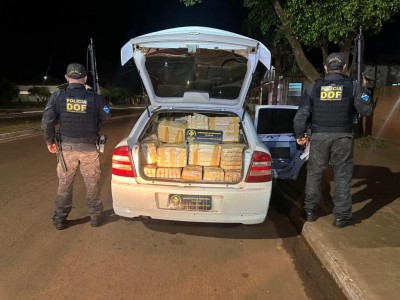 Na ação, ninguém foi preso (Foto: Divulgação/DOF)