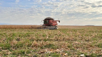Segundo dados do Projeto SIGA-MS, a área colhida alcançou 15,3% (Foto: Divulgação/Aprosoja-MS)