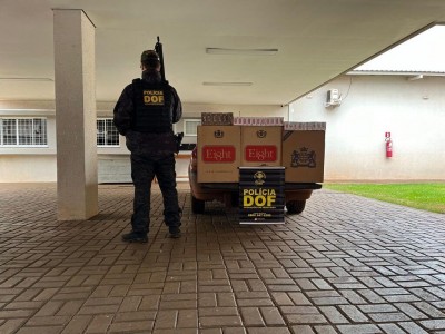 O prejuízo somado e estimado ao crime foi de R$ 36,2 mil (Foto: Divulgação/DOF)
