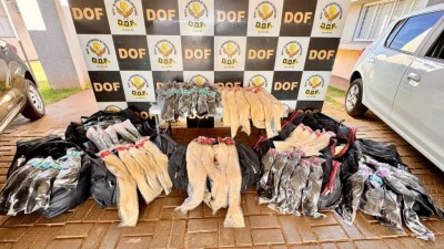 Foto: Divulgação/DOF