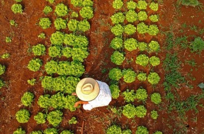 Foto: Bruno Rezende