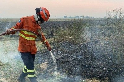 Foto: Álvaro Rezende/Agência MS