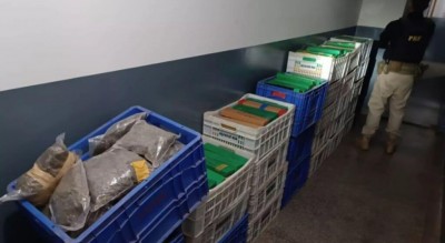 Divulgação