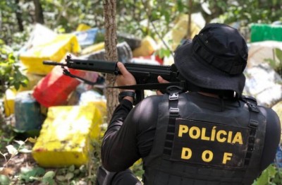 Divulgação