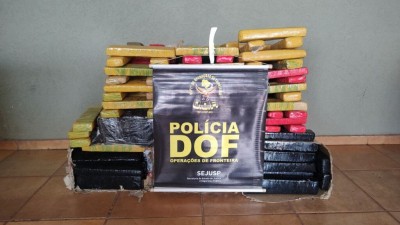 Divulgação